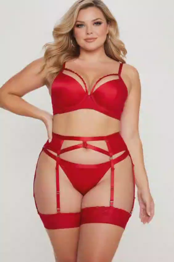 Red Bra Thong and Suspender Belt